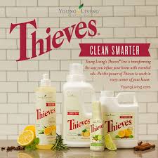 thieves clean smarter